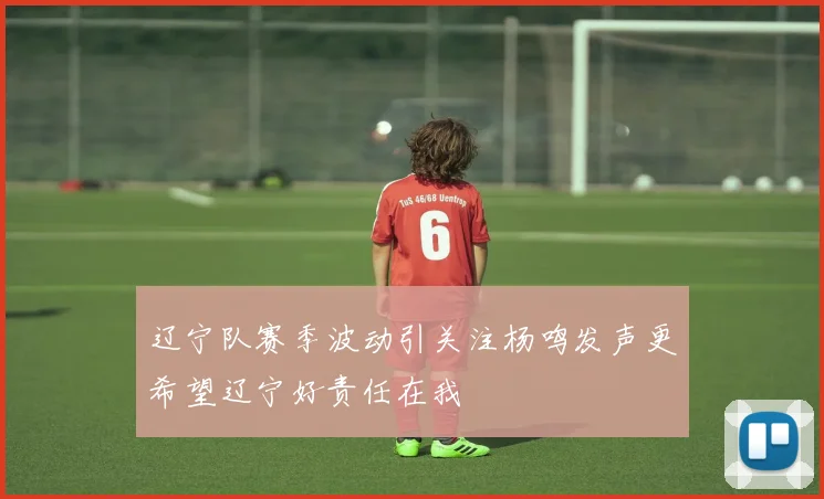 辽宁队赛季波动引关注杨鸣发声更希望辽宁好责任在我