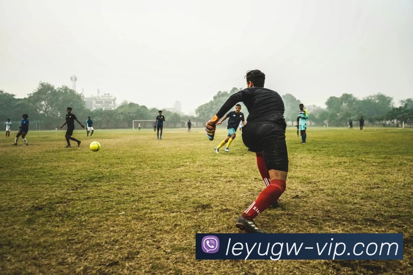 App Interface Preview