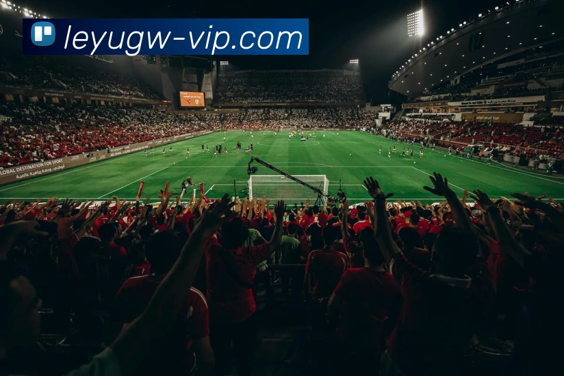 乐鱼官网：引领数字化竞技内容传播与交互的新标准APP 封面图