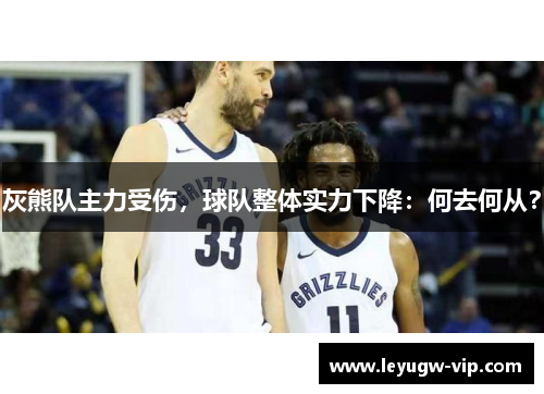 灰熊队主力受伤，球队整体实力下降：何去何从？