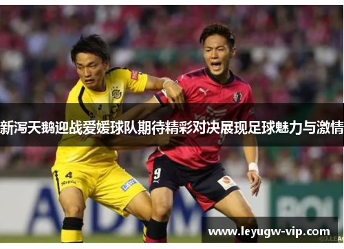 新泻天鹅迎战爱媛球队期待精彩对决展现足球魅力与激情