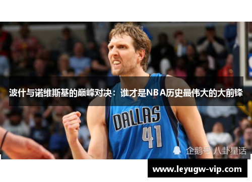 波什与诺维斯基的巅峰对决：谁才是NBA历史最伟大的大前锋